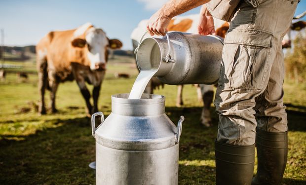 Setor leiteiro: produtividade cresceu 59% entre 2011 e 2020