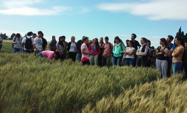 Agtech: convocan a alumnos de agronomía a participar de un programa gratuito