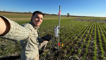 "Estás a un mail de la oportunidad": cuánto puede ganar un agrónomo argentino en Estados Unidos y la experiencia completa de un joven que se animó a hacerlo