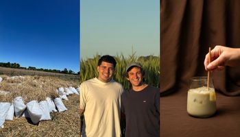 Las "agropajitas" que son furor: buscan hacer 600.000 por mes, ya siembran en 15 hectáreas y encontraron en un descarte del trigo un producto valioso