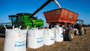 El gigante agroindustrial que compró un campo de 3600 hectáreas: cuánto pagó y cómo lo financiaron