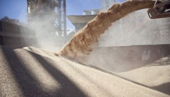 Agroquímicos: dos principios activos rumbo a la prohibición