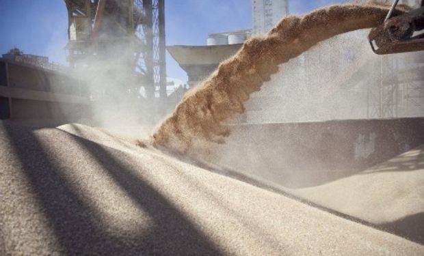 Desde Brasil reclamaron por los límites máximos de diclorvos en embarques de trigo. Sucedió lo mismo Japón en relación a maíz y sorgo.