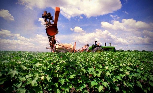 Los destinos de las exportaciones de agroquímicos y fertilizantes se concentraron en el mercado regional, especialmente: Brasil, Paraguay, Uruguay, Bolivia y Chile