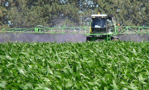 Preocupación en los productores de la localidad bonaerense de Ramallo.