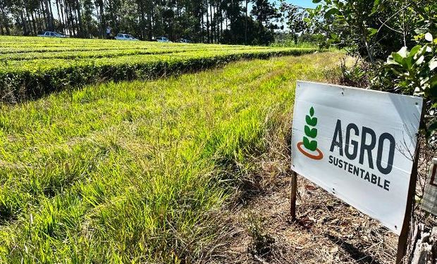 El argentino que quiere revolucionar al agro y que recibió un premio por ser empresario joven en España