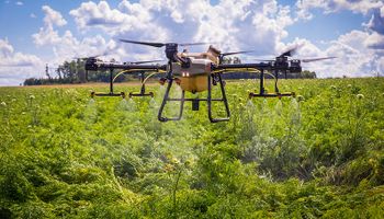 La empresa referente del mercado mundial de agroquímicos que ahora opera en Argentina: "Arrancamos en un año muy difícil y ahora hablamos de una situación diferente"