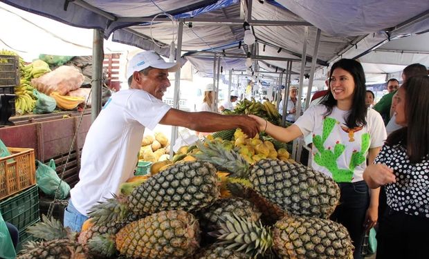 Apenas 0,67% dos alimentos apresenta risco à saúde por agrotóxicos, divulga Anvisa