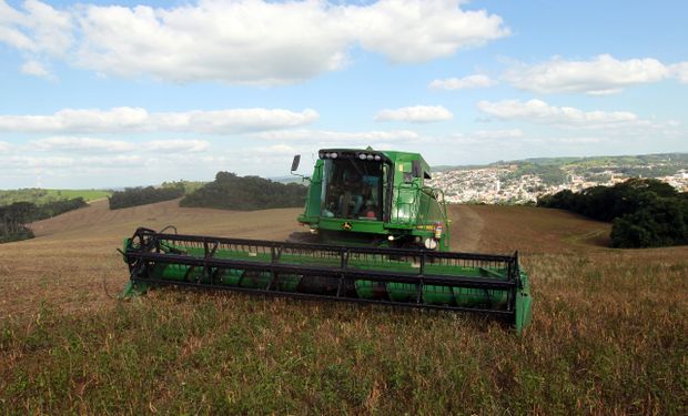 FPA defende o carbendazim para a continuidade do tratamento das sementes. (Foto: Getty Images)