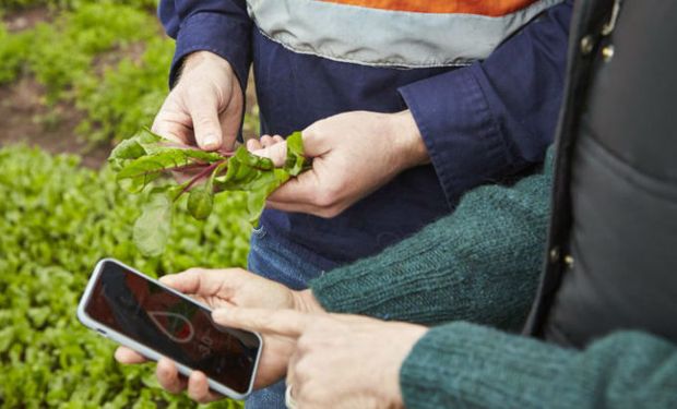 A nivel mundial, el campo es uno de los sectores más retrasados en digitalización y adopción de nuevas tecnologías