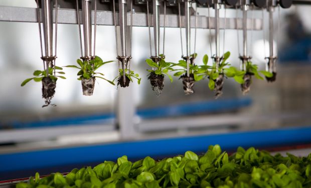 La Bolsa de Comercio de Rosario organizó un Foro de Innovación en el marco del Hackaton Agro.