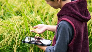 Agtech: cambios y oportunidades que surgen en medio de la pandemia