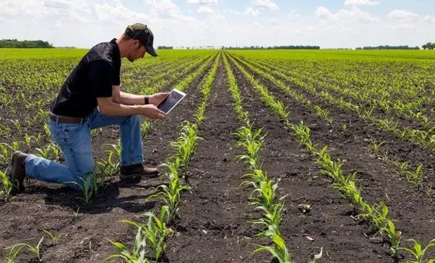 La industria agtech creció un 70 % durante los últimos cinco años 