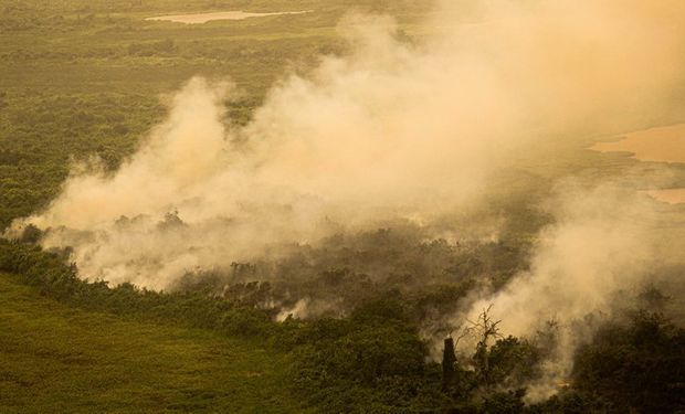 Multa milionária: AGU exige R$ 725 milhões de infratores ambientais por danos ao Pantanal