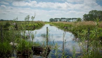 Conocer el "agua invisible" permite planificar su uso y afrontar las variaciones climáticas