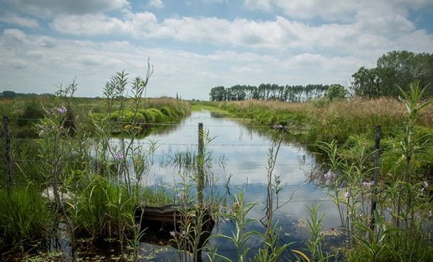 Conocer el "agua invisible" permite planificar su uso y afrontar las variaciones climáticas