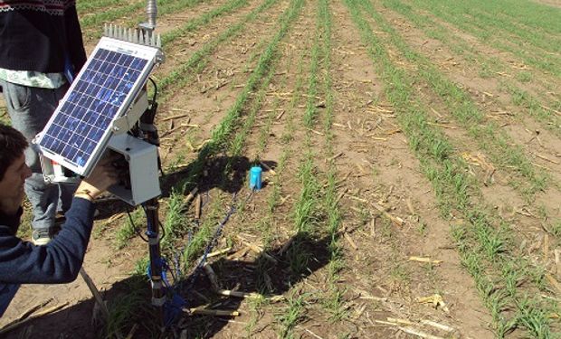 La agricultura es la actividad que utiliza un mayor volumen de agua, más de las dos terceras partes de la que proporcionan los ríos, lagos y acuíferos del planeta.