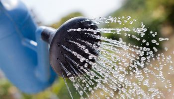 Técnicas para ahorrar agua en la huerta
