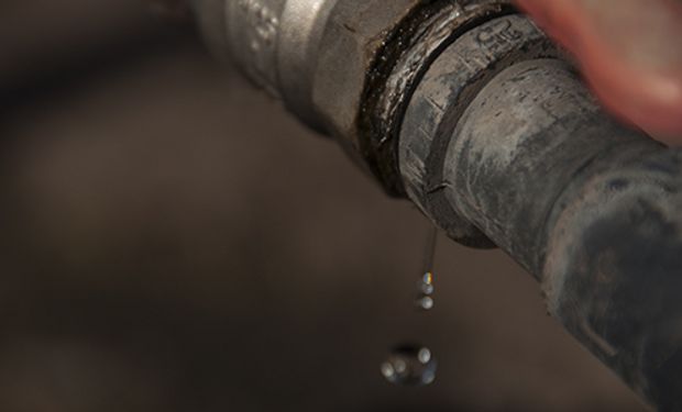 Gracias a las energías eólica y cinética de los cursos hídricos, proveen agua para riego y consumo doméstico en producciones familiares.