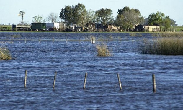 Las aguas en los campos bonaerenses se estacionaron por meses y provocaron pérdidas difíciles de soportar para los productores. Foto: Archivo / Fabián Marelli