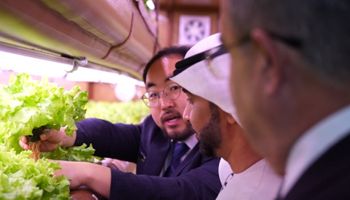 Fazenda inflável vence prêmio por levar produção de alimentos a “qualquer lugar”