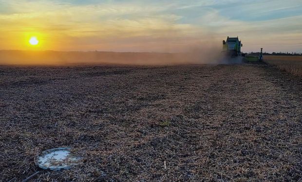 Presentan un sistema innovador que logra reducir un 54 % las pérdidas por plataforma durante la cosecha