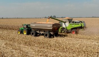 AKRON lleva el Canje Cereal Futuro hasta mayo 2024 y nuevos lanzamientos a  Agroactiva