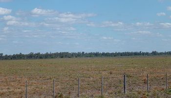 Cae un 6,5% la actividad inmobiliaria rural