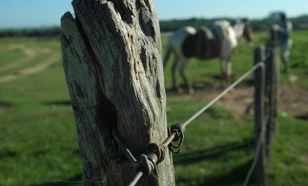 Nuevos salarios para el personal permanente de la actividad rural