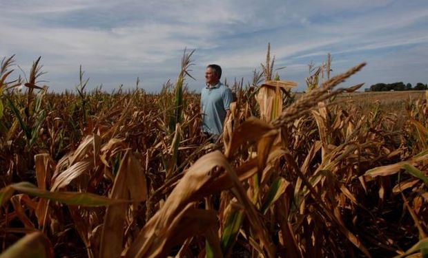 Fernández dijo que el maíz se produce en pesos, pero un 59% de los costos están dolarizados