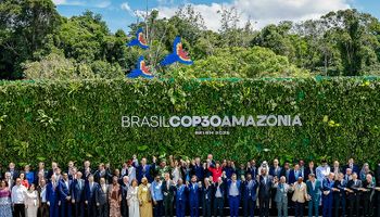 Alemanha entra no Fundo das Florestas; bilionário australiano vai investir US$ 10 milhões 