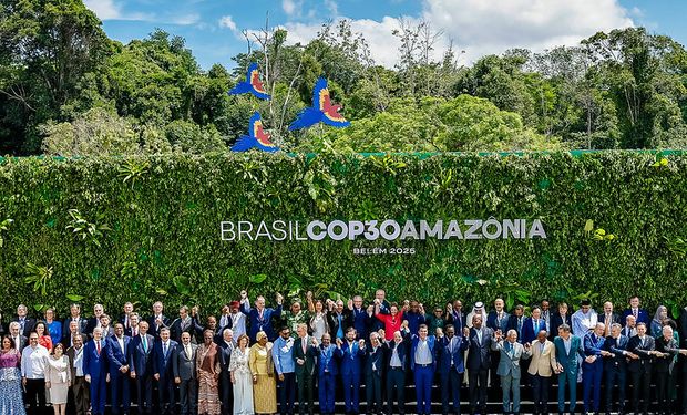 Alemanha entra no Fundo das Florestas; bilionário australiano vai investir US$ 10 milhões