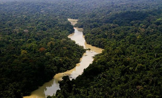 Amazônia Legal engloba cerca de 59% do território brasileiro. (Foto Leonardo Milano)