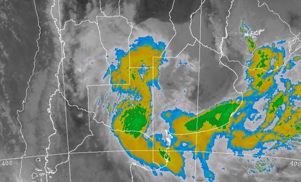 Abundantes lluvias afectan a regiones claves para el trigo.