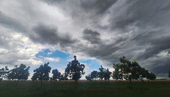 Hay alerta, llegan nuevas tormentas y se corta la cosecha: no se descarta la caída de granizo