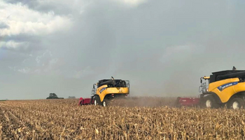 Alerta por tormentas y como mínimo 40 mm: "Mucha caída de agua en centro y norte de Argentina"
