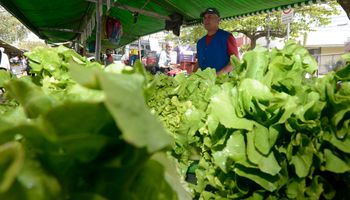 Alface sobe 36,56%: veja quais hortaliças e frutas pesaram no bolso em janeiro