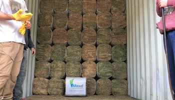 Córdoba: seis productores crearon una empresa y en tres años concretaron la primera exportación de alfalfa compactada