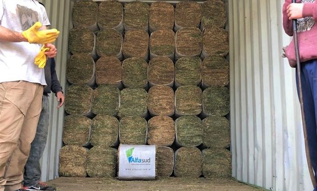 Córdoba: seis productores crearon una empresa y en tres años concretaron la primera exportación de alfalfa compactada