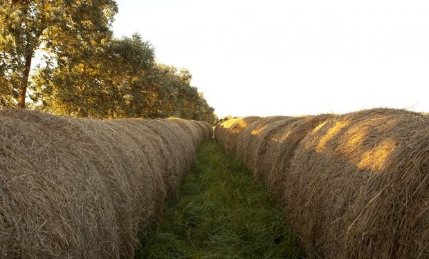 La Pampa: valor agregado a la producción local.