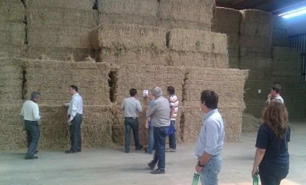 El gigante asiático, segundo destino de los productos agroindustriales argentinos, posó el ojo sobre esta planta.