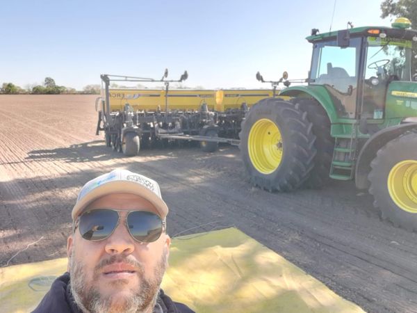 alfalfas siembra