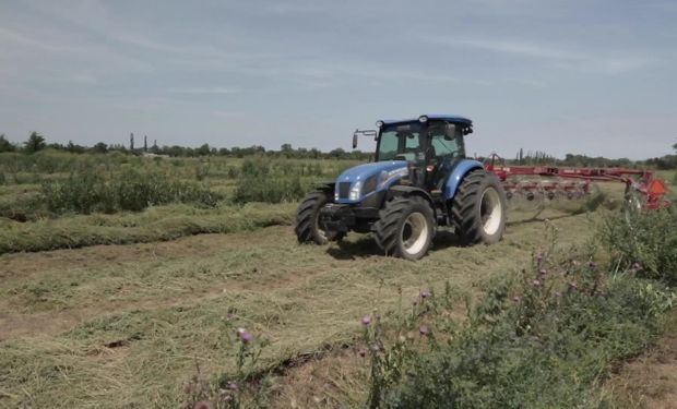 Alfazal: la idea de San Luis como solución productiva y ambiental