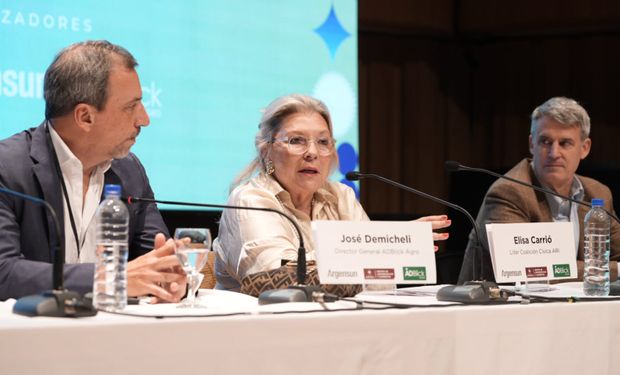 Carrió cree que la crisis del año que viene puede ser peor que el 2001 y apunta a los que prometen eliminar retenciones: "Les están mintiendo"