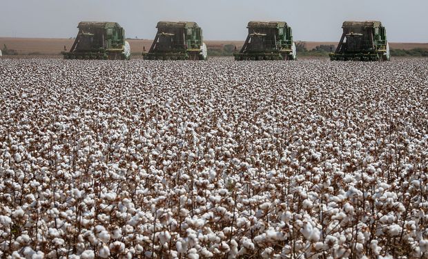 SLC Agrícola registra prejuízo no 4º trimestre de 2023