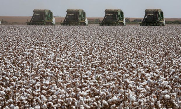 USDA estima 40% da lavoura americana em condições entre ruins e muito ruins. (foto - SLC Agrícola)