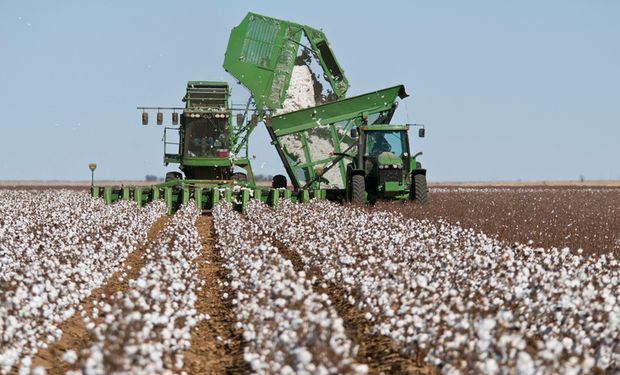 Na região de Cabeceiras, Cristalina e Luziânia, o avanço da colheita é de 82,74%. (Foto: Getty Images)