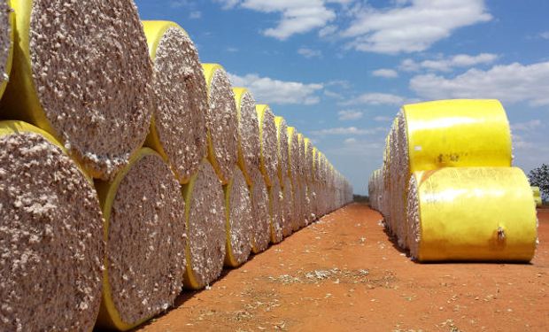 Demandantes, de olho nas quedas externas, estão à espera de preços menores no Brasil. (foto - CNA)