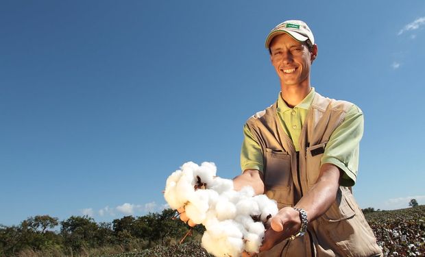 Produtores, por sua vez, estão retraídos e/ou focados nas atividades de campo.