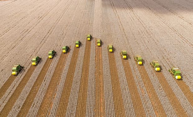 Colheita de algodão em unidade da SLC Agrícola. (foto - SLC Agrícola)